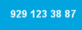 929 123 38 87 929 123 38 87